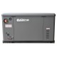 Газовый генератор EVOline GNG 13500 E